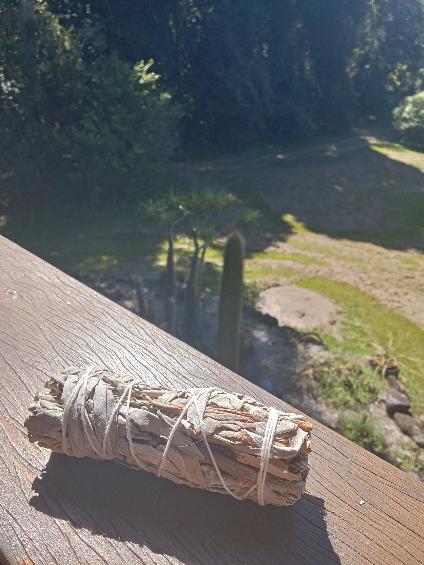 Californian White Sage Smudge Sticks