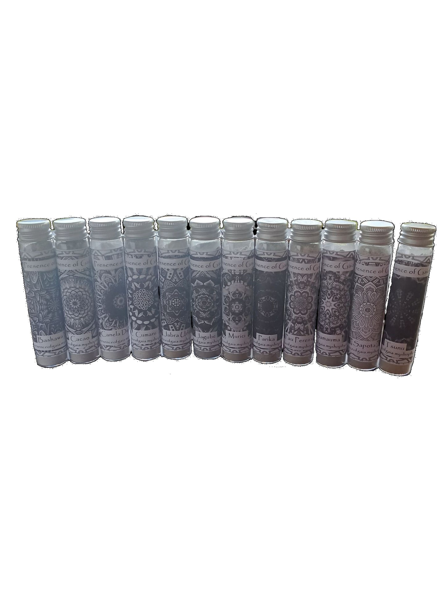 Ashes Kit [25ml] x 12 pieces