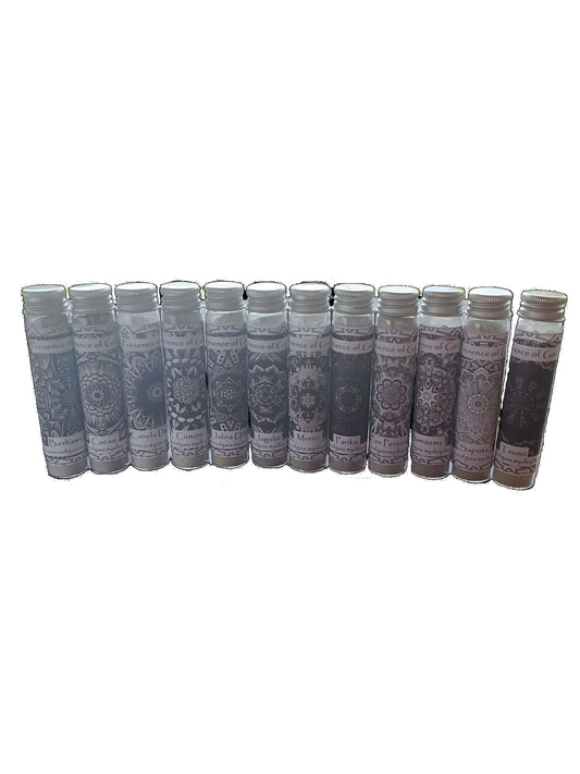 Ashes Kit [25ml] x 12 pieces